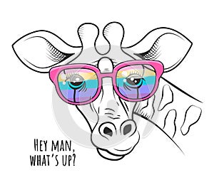 Giraffe in a rainbow glasses funny poster