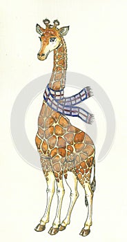 Giraffe with scarf