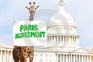 Giraffe, sign Paris Agreement for climate change
