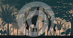 The giraffe silhouette in forest