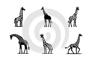 Giraffe Silhouette Vector Icon Set