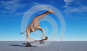 Giraffe on skateboard. Impossible and happiness concept