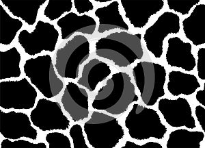 Giraffe skin pattern texture repeating seamless monochrome black and white. Vector. Texture giraffe. Fashionable print.