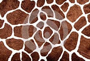 Giraffe spots