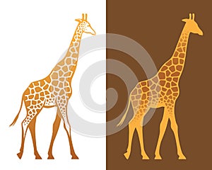 Giraffe with spots illustration