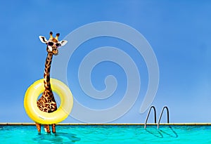 Giraffe stand with inflatable doughnut in the pool