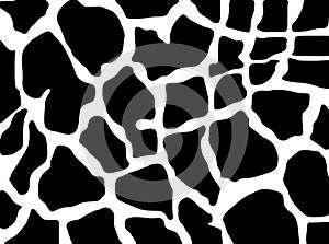 Giraffe texture
