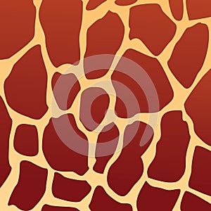 Giraffe texture