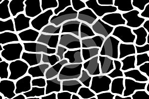 Giraffe texture pattern seamless repeating black white