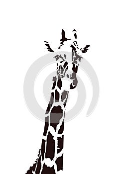 Giraffe Vector Art Design portrait Black & White