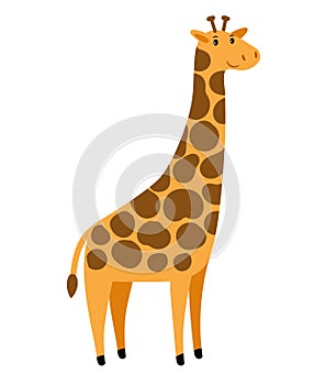 Giraffe. Vector cartoon tall giraffe character, cute african animal with spots on white