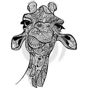 Giraffe vector illustration