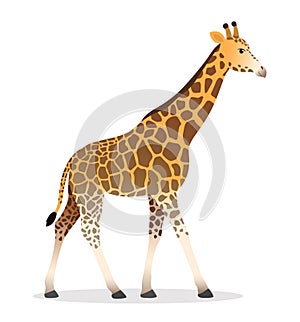 Giraffe walking cartoon animal wildlife vector illustration icon isolated on white