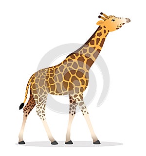 Giraffe walking flat african animal wildlife vector illustration icon isolated on white