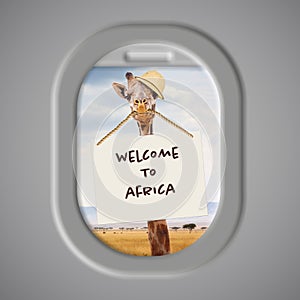 Giraffe Welcome To Africa From Airplane Window