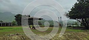 Giraffe and Wildebeasts