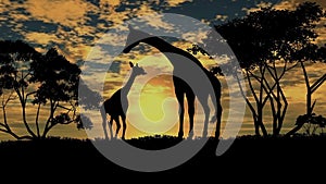 Giraffe with a young sillouette on sunset background