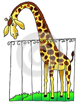 Giraffe zoo africa drawing humour