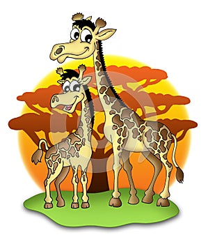 Giraffes