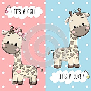 Giraffes boy and girl