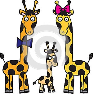 Giraffes family