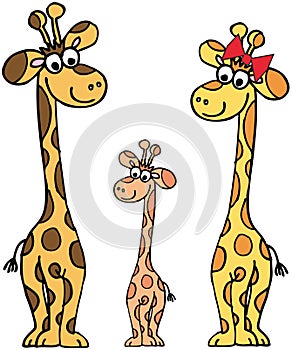 Giraffes family