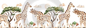 Watercolor seamless border with giraffes in savannah with clouds, acacia, tropical leaves photo