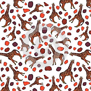 giraffes and spots are a beautiful pattern