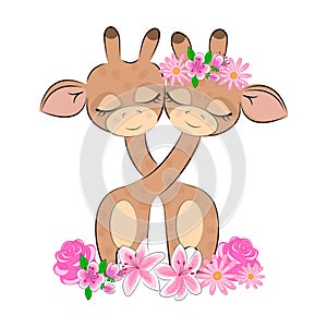 Giraffes Valentines Day entwined necks Couple of cute lovers giraffes with closed eyes with cute eyelashes with flowers