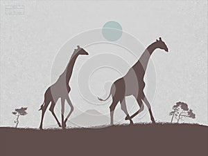 Giraffes walk in savannah. Endangered animal family. Mother and child