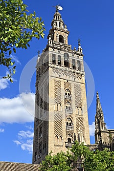 The Giralda, bell tower of the Cathedral of Seville in Seville, Spain