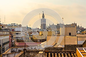 Giralda in the city of Seville in Andalusia, Spain photo