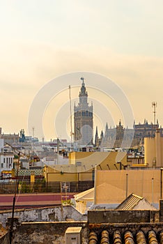 Giralda in the city of Seville in Andalusia, Spain photo