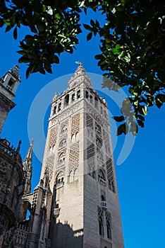 Giralda in the city of Seville in Andalusia, Spain photo