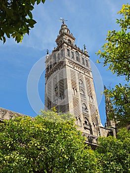 The Giralda From The Orange Tree Courtyard