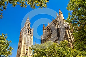 Giralda and roof of the Sevilla Cathedral photo