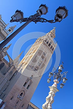 The Giralda, Seville