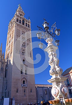 The Giralda, Seville