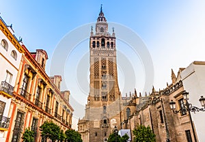 The Giralda of Seville Cathedral in Andalusia, Spain