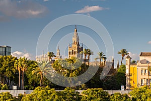 Giralda Spire Bell Tower of Seville Cathedral.