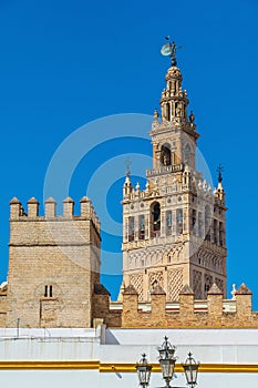 Giralda tower and Seville Cathedral in oldtown Spain