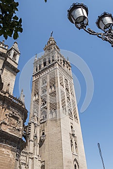 Giralda Tower, Seville Cathedral, Sapin