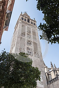 Giralda Tower, Seville Cathedral, Sapin