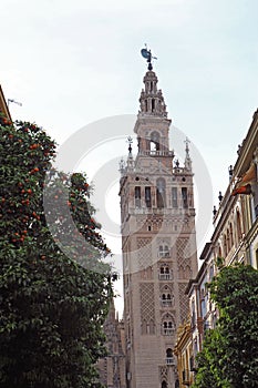 The Giralda tower in Seville, Spain vertical