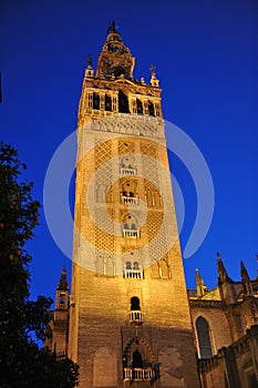 The Giralda Tower at sunset, Cathedral of Seville, Andalusia, Spain