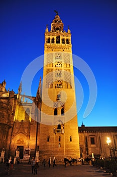 The Giralda Tower at sunset, Cathedral of Seville, Andalusia, Spain