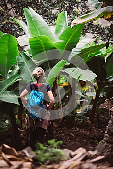 Girl admire green banana and sugarcane plants on the valley. Santo Antao island in Cabo Verde