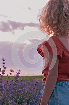 Girl admiring sunset over purple field lavender flowers. Inspiring scene childhood dreams. Family summer holiday, relax