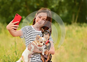 Girl with animals makes a selfie on a smartphone. The blogger shoots a video with chihuahua dogs