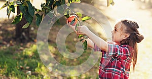 Girl with Apple in the Apple Orchard